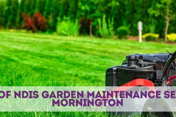 NDIS garden maintenance services in Mornington